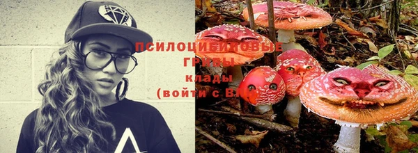 mdpv Липки