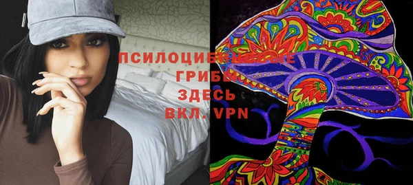 PSILOCYBIN Верхнеуральск