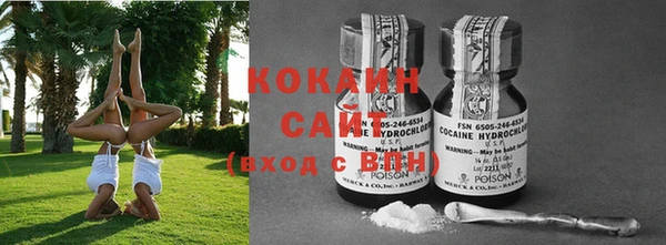 ПСИЛОЦИБИНОВЫЕ ГРИБЫ Лихославль