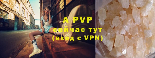 ПСИЛОЦИБИНОВЫЕ ГРИБЫ Лихославль