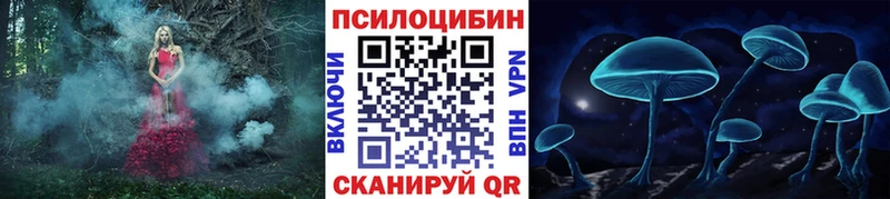 что такое наркотик  Мурманск  Галлюциногенные грибы Psilocybine cubensis 