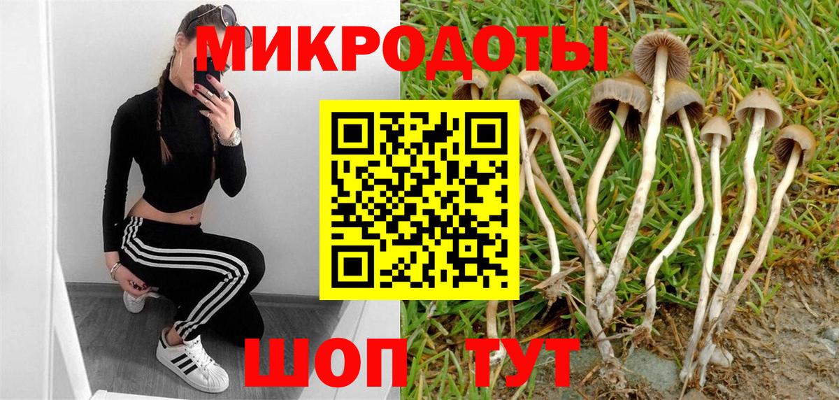 Псилоцибиновые грибы Magic Shrooms  Вход с VPN  Псилоцибиновые грибы GOLDEN TEACHER  Мурманск 