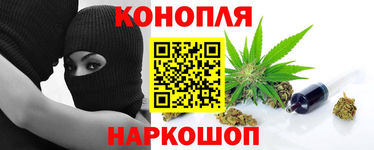 Шишки марихуана семена Мурманск